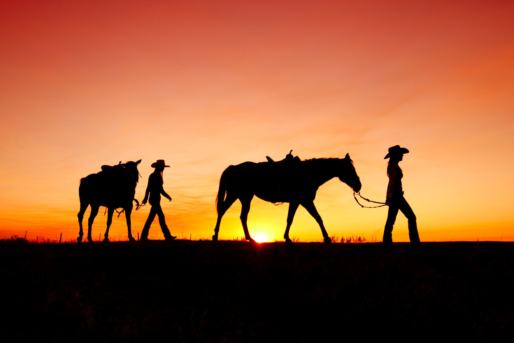 Off to the barn